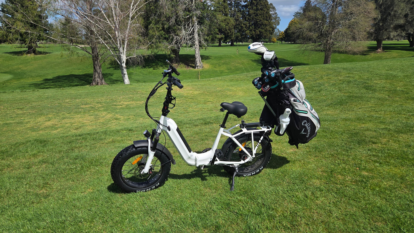 Universal Golf Bike Bag Carrier Rack